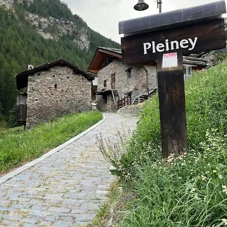 Grandze Du Pleiney Casa vacanze
